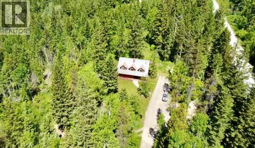 1445 Black Bear Drive, Golden, BC - Outdoor With View