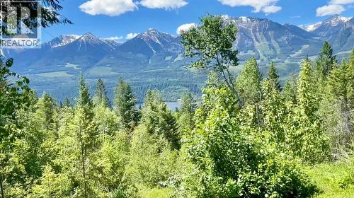 1445 Black Bear Drive, Golden, BC - Outdoor With View