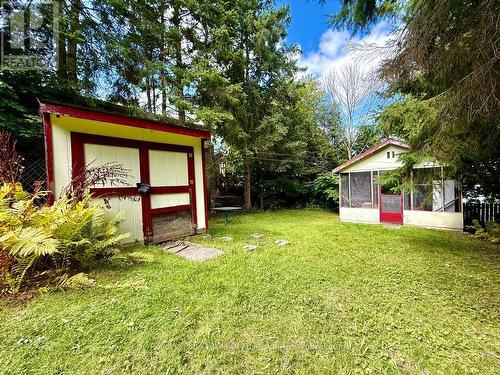 Mature trees line the private, large backyard. - 4 Duncan Street E, Huntsville (Chaffey), ON - Outdoor