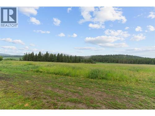 4911 Malpass Road, Armstrong, BC - Outdoor With View