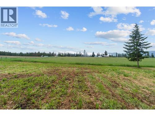 4911 Malpass Road, Armstrong, BC - Outdoor With View