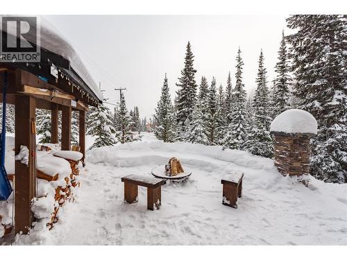 Communal Fire Pit both units in Duplex - 1211 Apex Mountain Road Unit# 1, Penticton, BC - Outdoor