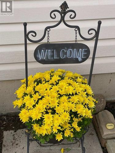 22 Briarwood Place, Innisfil, ON - Outdoor