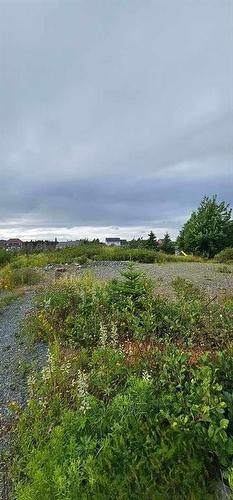 22 Pulpit Rock Road, Torbay, NL 