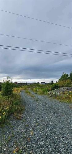 22 Pulpit Rock Road, Torbay, NL 