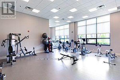 316 - 25 Via Rosedale Way, Brampton, ON - Indoor Photo Showing Gym Room