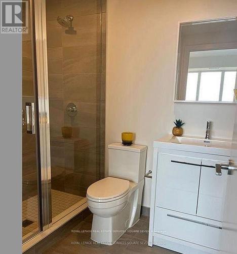 1301 - 212 King William Street, Hamilton, ON - Indoor Photo Showing Bathroom