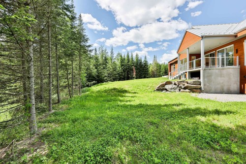 Extérieur - 52 Ch. De La Rivière, Piedmont, QC - Outdoor