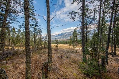 Lot 24 Valley Vista Way, Fairmont Hot Springs, BC - Outdoor With View
