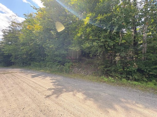 Terre/Terrain - Rue Vigneault, Saint-Calixte, QC 