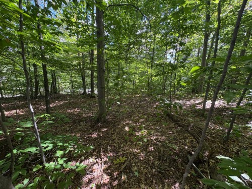 Terre/Terrain - Rue Vigneault, Saint-Calixte, QC 