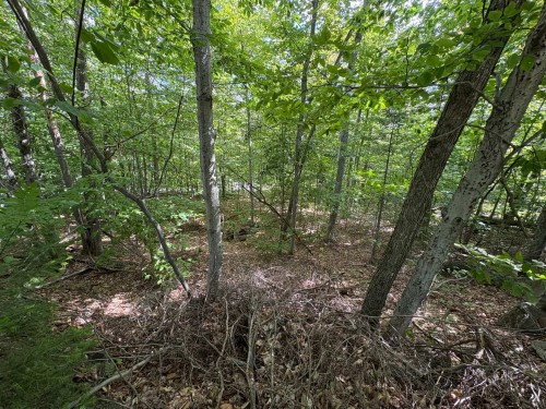 Terre/Terrain - Rue Vigneault, Saint-Calixte, QC 