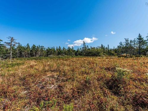 Lot Deveau Shore Road, St. Alphonse, NS 
