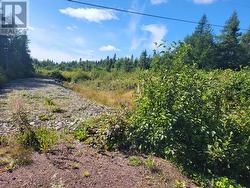 45 Main Street  Northern Arm, NL A0H 1E0