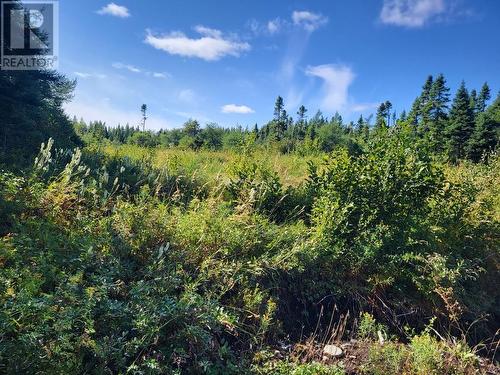 45 Main Street, Northern Arm, NL 