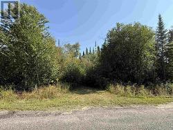 Lot 77 Lakeshore DR S  Dennis Township, ON P6A 5K8