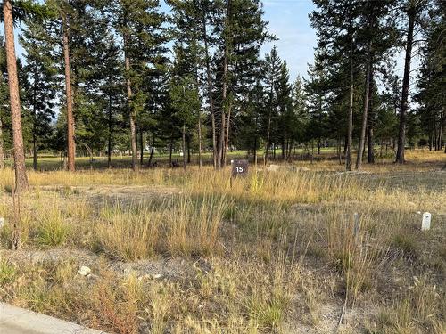 448 Wildstone Close, Cranbrook, BC - Outdoor With View