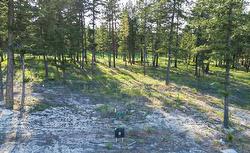 421 Wildstone Close  Cranbrook, BC V1C 0G4