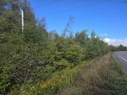 Lot 7 Highway 368  Fountain Road, NS B0K 1Y0