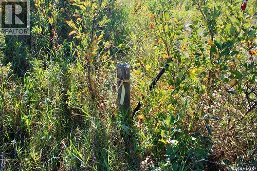 3 David Shiels Road, Dundurn Rm No. 314, SK 