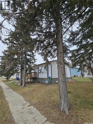 219 Carl Avenue E, Langenburg, SK - Outdoor