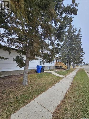 219 Carl Avenue E, Langenburg, SK - Outdoor