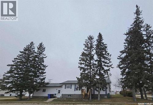 219 Carl Avenue E, Langenburg, SK - Outdoor