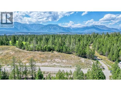 Lot 2 Cooper Road, Windermere, BC 