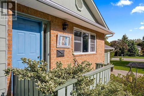 491 Minnesota Street, Collingwood, ON - Outdoor With Exterior