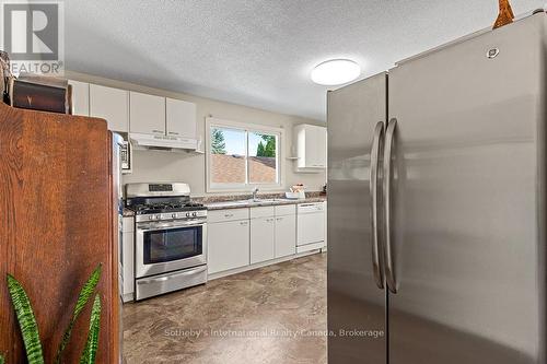 491 Minnesota Street, Collingwood, ON - Indoor Photo Showing Kitchen