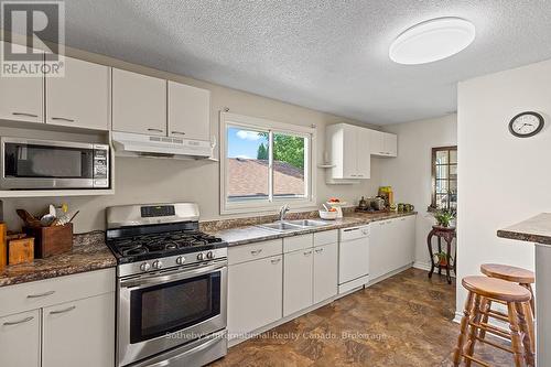 491 Minnesota Street, Collingwood, ON - Indoor Photo Showing Kitchen With Double Sink