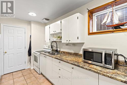 491 Minnesota Street, Collingwood, ON - Indoor Photo Showing Kitchen With Double Sink