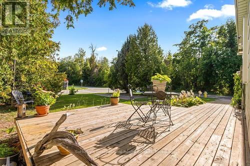 491 Minnesota Street, Collingwood, ON - Outdoor With Deck Patio Veranda