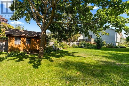 491 Minnesota Street, Collingwood, ON - Outdoor