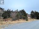 31 Harbour Drive, Clarkes Beach, NL 