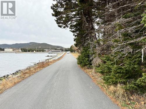 31 Harbour Drive, Clarkes Beach, NL 