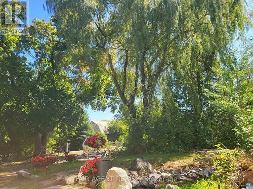 591 Concession 4 Road, Alfred And Plantagenet, ON - Outdoor