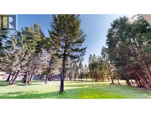 4850 Mckay Street Unit# 2, Radium Hot Springs, BC - Outdoor With View