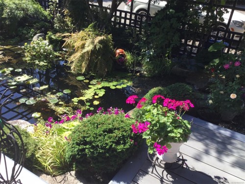 1093 Ash St, Campbell River, BC 