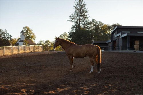 7756 West Saanich Rd, Central Saanich, BC 