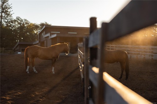 7756 West Saanich Rd, Central Saanich, BC 