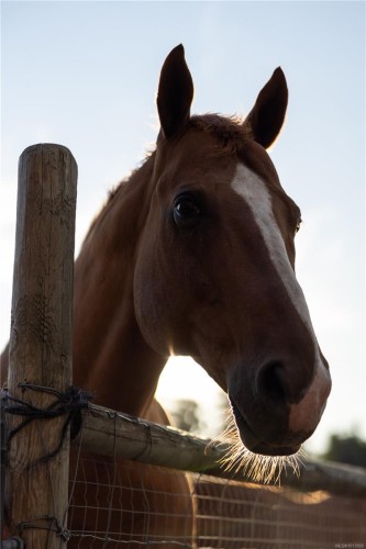 7756 West Saanich Rd, Central Saanich, BC 