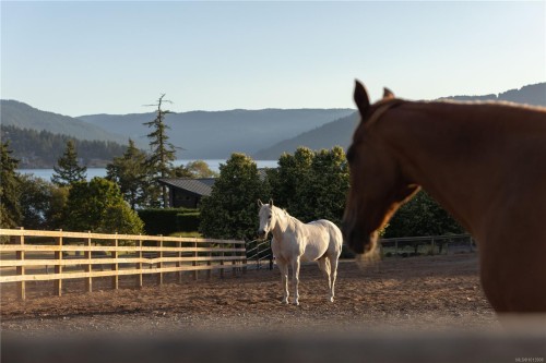 7756 West Saanich Rd, Central Saanich, BC 