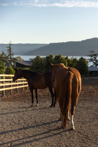 7756 West Saanich Rd, Central Saanich, BC 