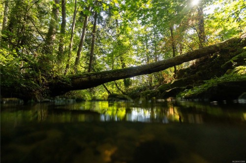 7756 West Saanich Rd, Central Saanich, BC 