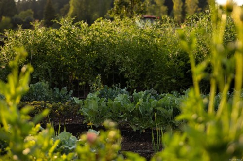 7756 West Saanich Rd, Central Saanich, BC 