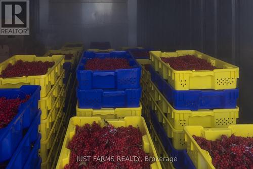 22889 Talbot Line, West Elgin, ON 