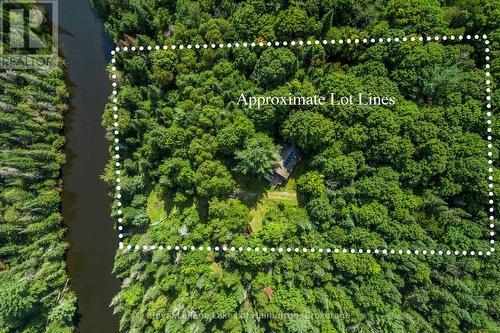 1880 Boldts Lane, Minden Hills (Snowdon), ON - Outdoor