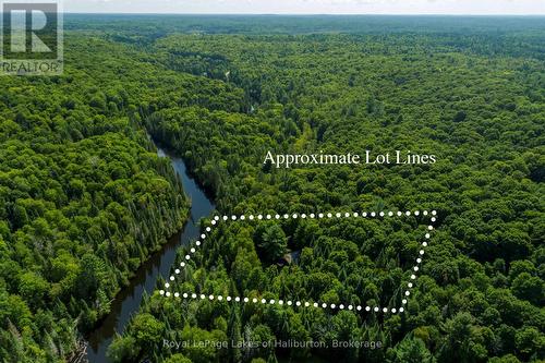 1880 Boldts Lane, Minden Hills (Snowdon), ON - Outdoor With View