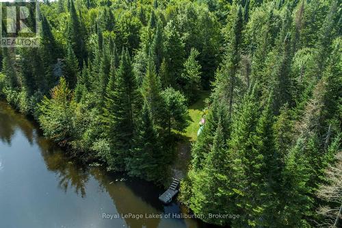 1880 Boldts Lane, Minden Hills (Snowdon), ON - Outdoor With Body Of Water